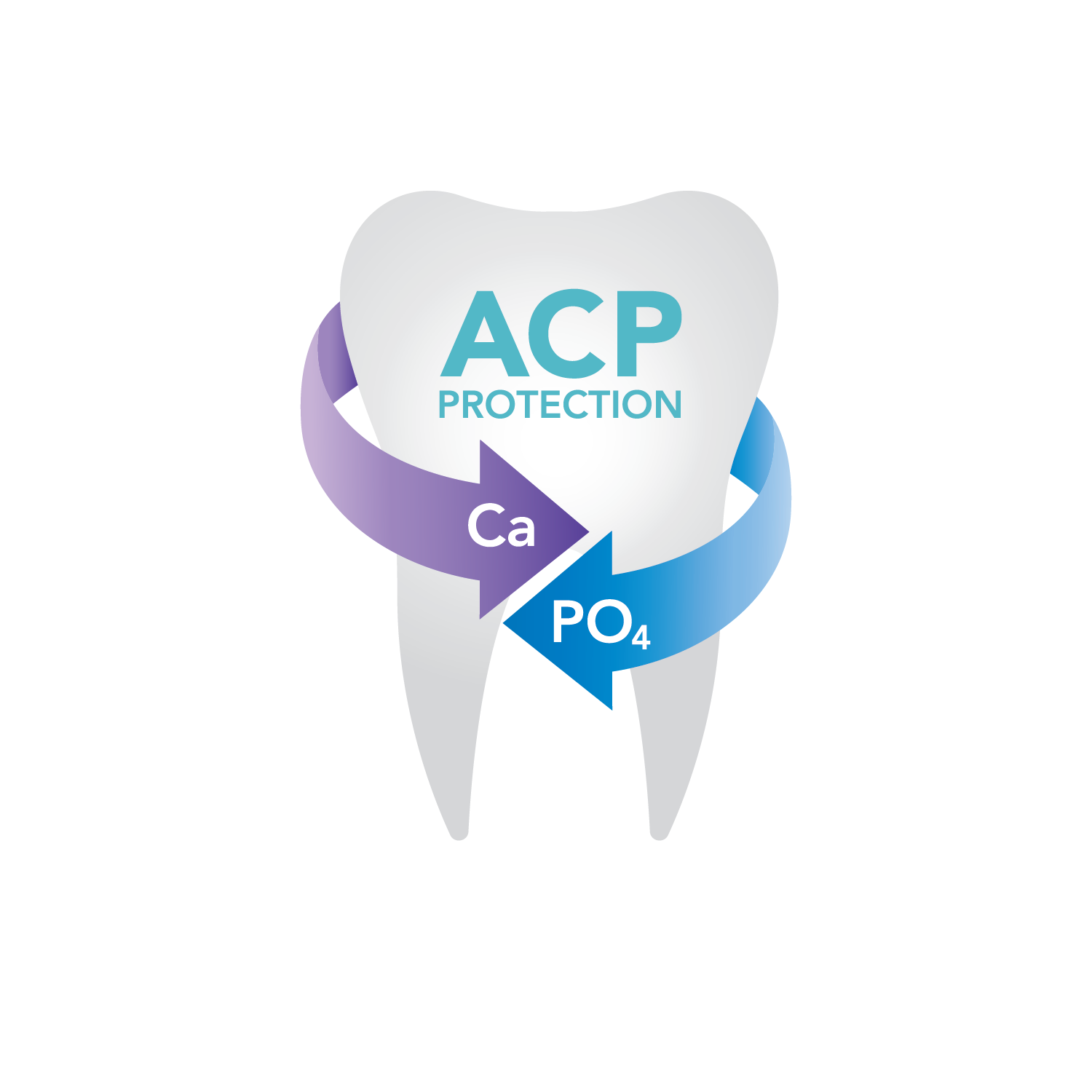 Enamelon Fluoride Toothpaste - ACP Protection